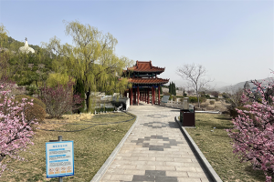 园区景观