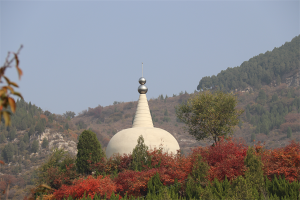 园区景观