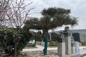 园区景观