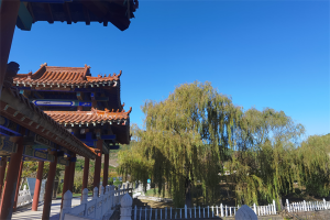 园区景观